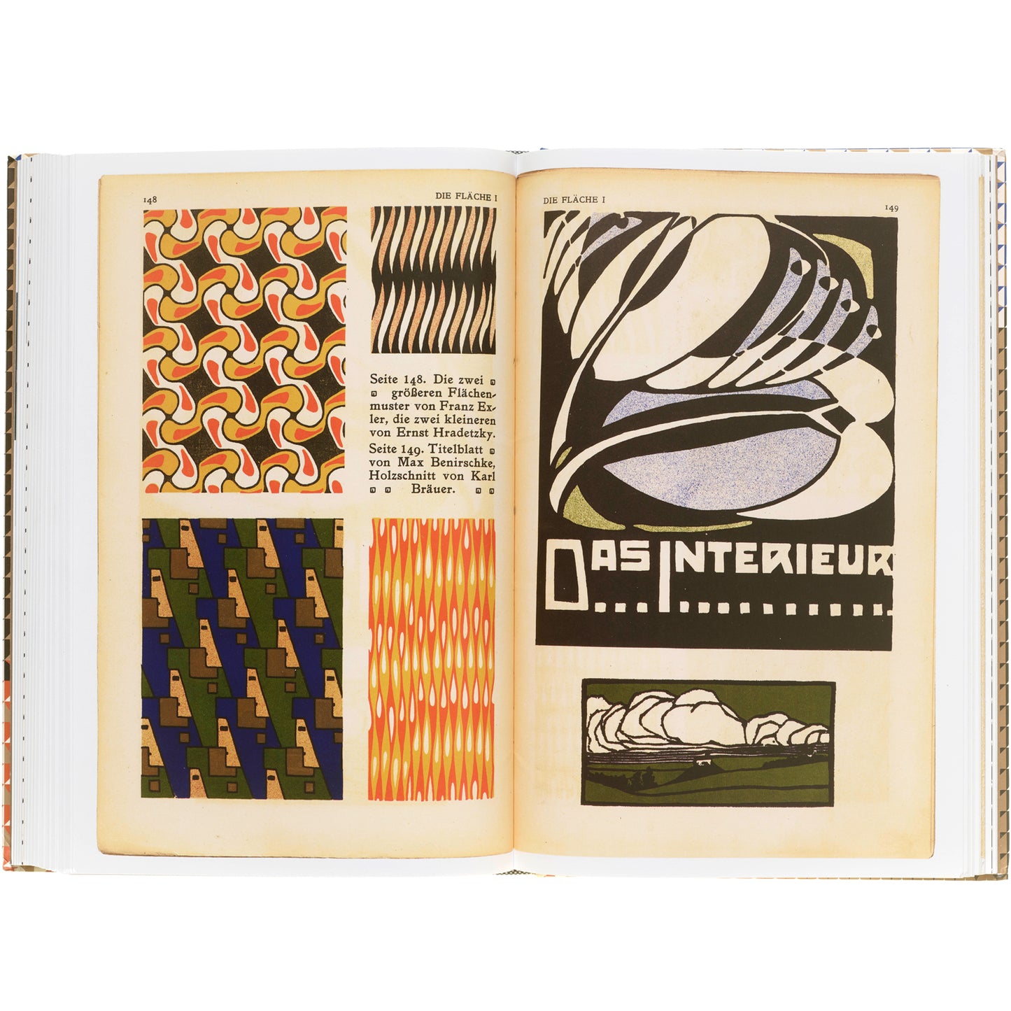 Die Fläche: Design and Lettering of the Vienna Secession, 1902–1911