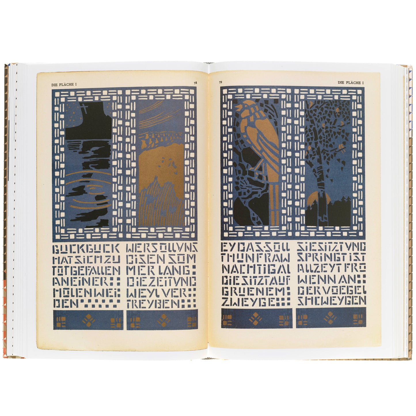 Die Fläche: Design and Lettering of the Vienna Secession, 1902–1911