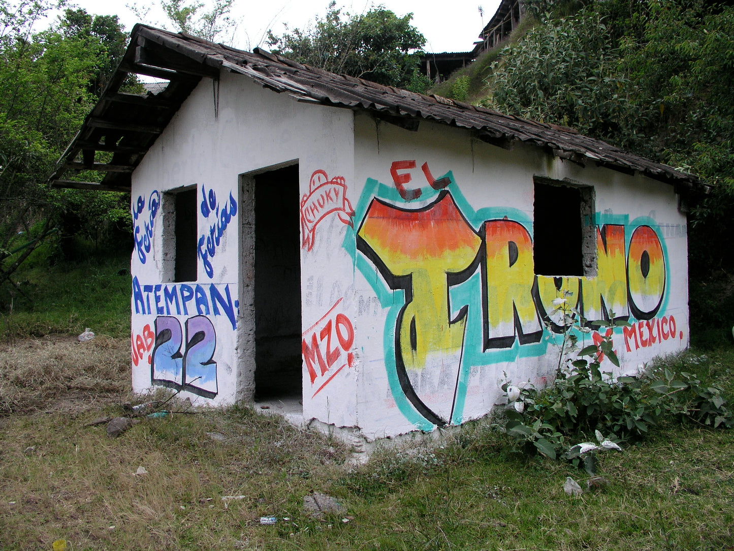 Bardas de Baile: Mexican Wall Painting